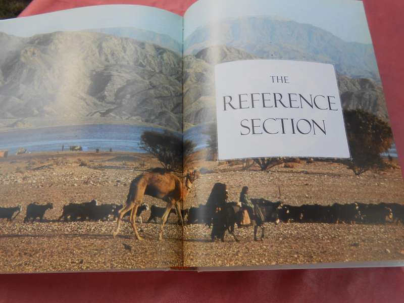 `The Complete Bible Handbook`  DK.  Hard cover.