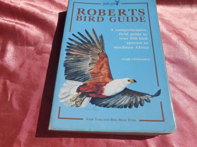 `Roberts Bird Guide`  Hugh Chittenden.  Soft cover.