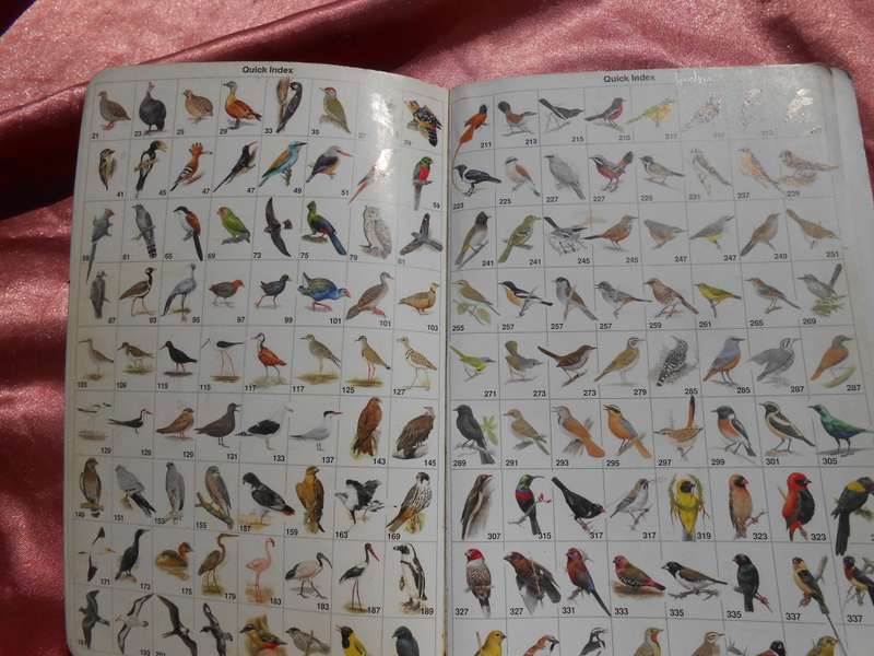 `Roberts Bird Guide`  Hugh Chittenden.  Soft cover.