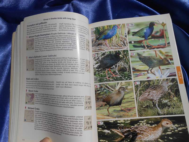 `The Bird Guide of Southern Africa`  Soft cover.