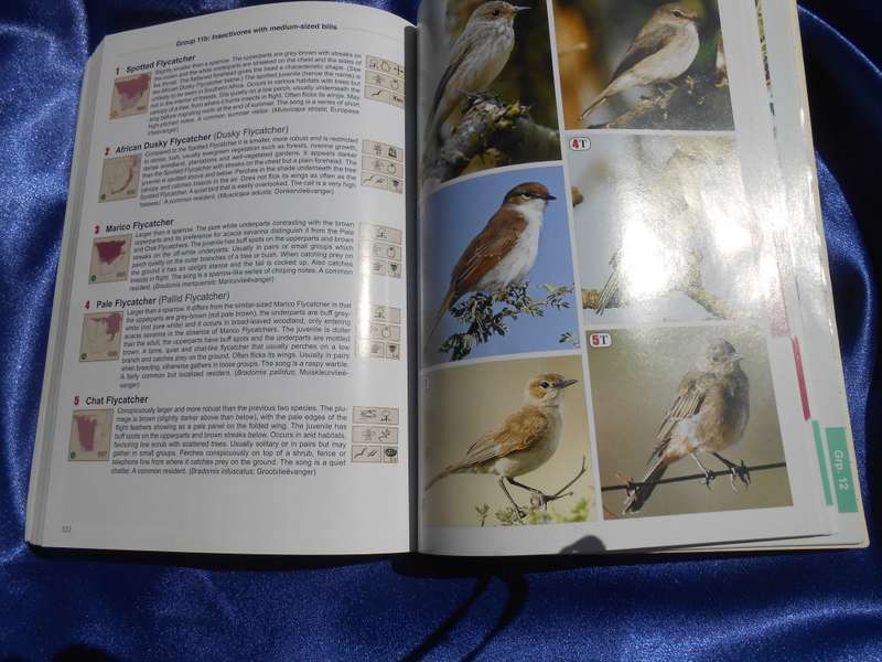`The Bird Guide of Southern Africa`  Soft cover.