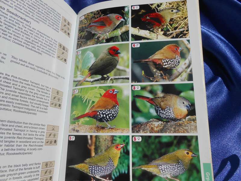 `The Bird Guide of Southern Africa`  Soft cover.