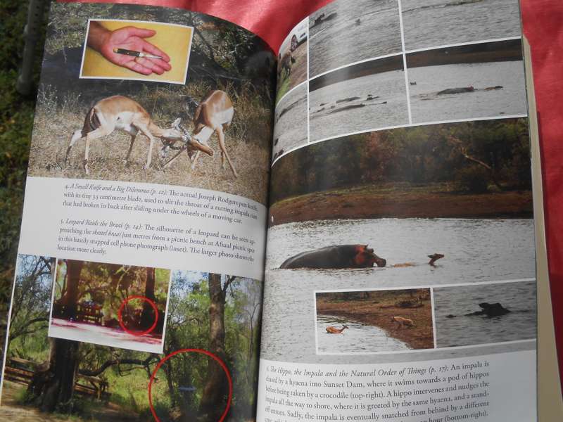 `101 Kruger Tales`  Jeff Gordon.  Soft cover.