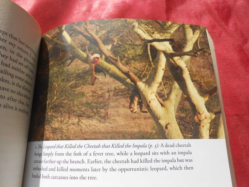 `101 Kruger Tales`  Jeff Gordon.  Soft cover.