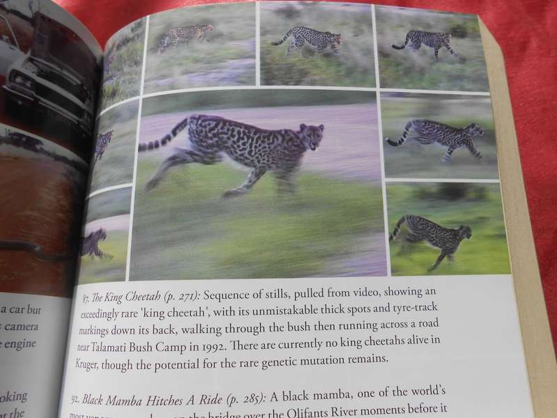 `101 Kruger Tales`  Jeff Gordon.  Soft cover.
