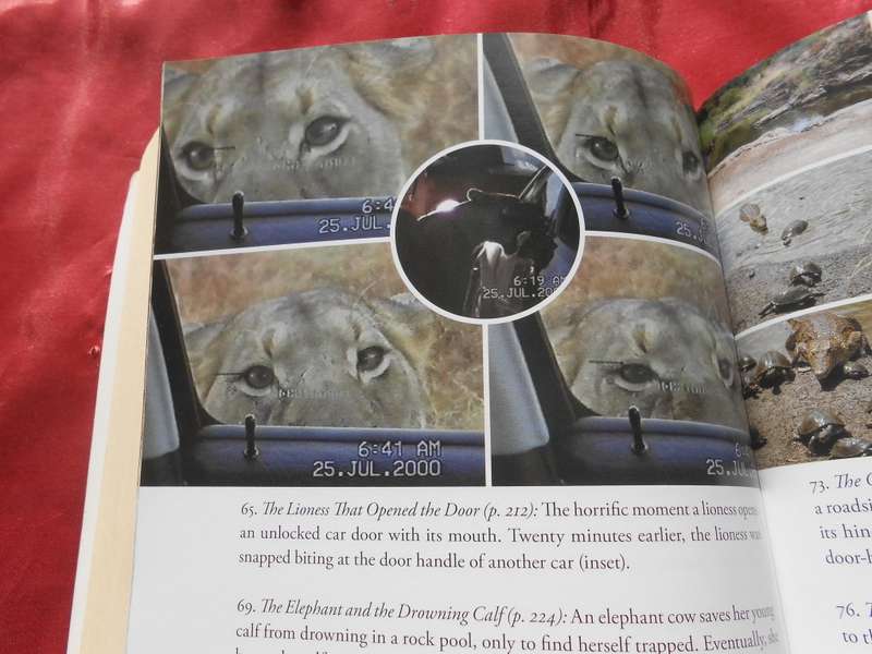 `101 Kruger Tales`  Jeff Gordon.  Soft cover.