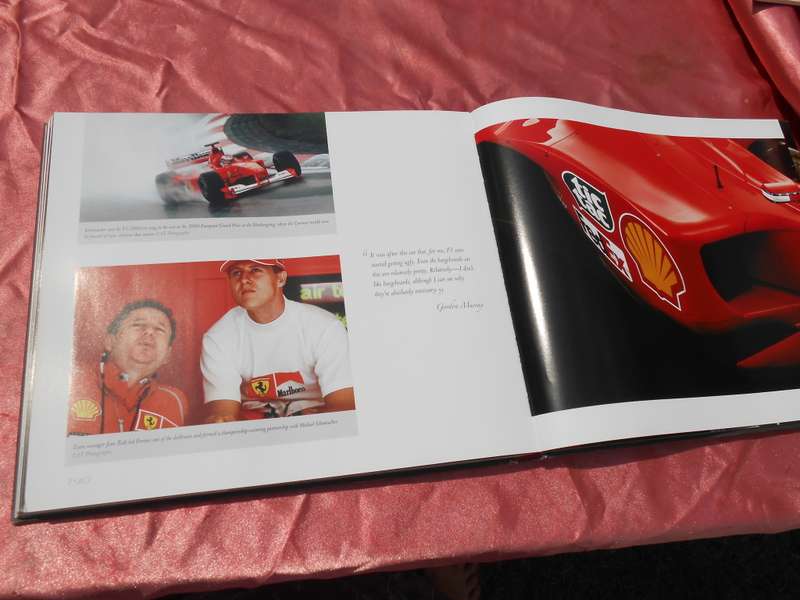 `Art of the Formula 1 Car`  Hard cover.