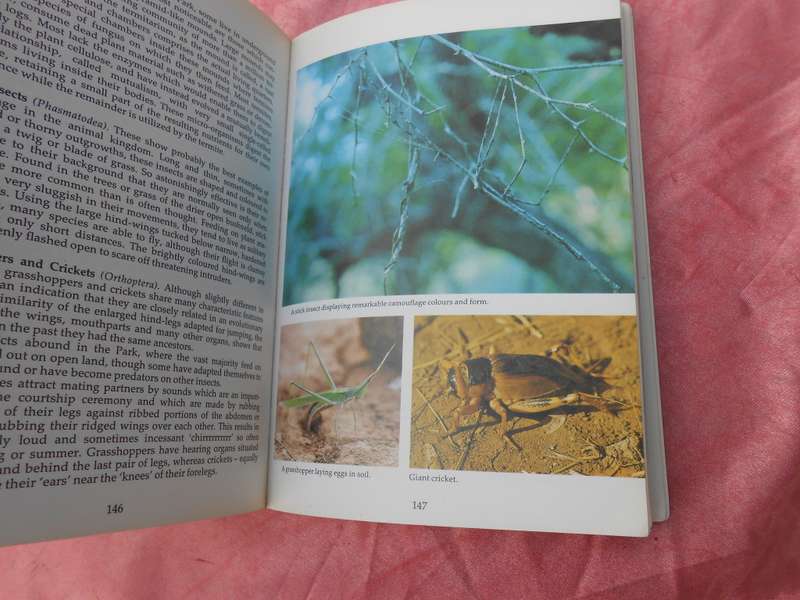 1988 `Kruger National Park`  2nd Edition.  Soft cover.