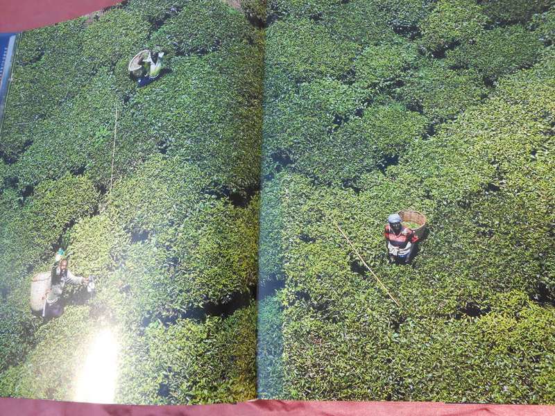 `Eyes over Africa`  A very heavy book.  Hard cover.