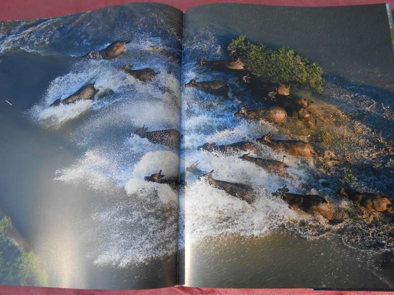 `Eyes over Africa`  A very heavy book.  Hard cover.
