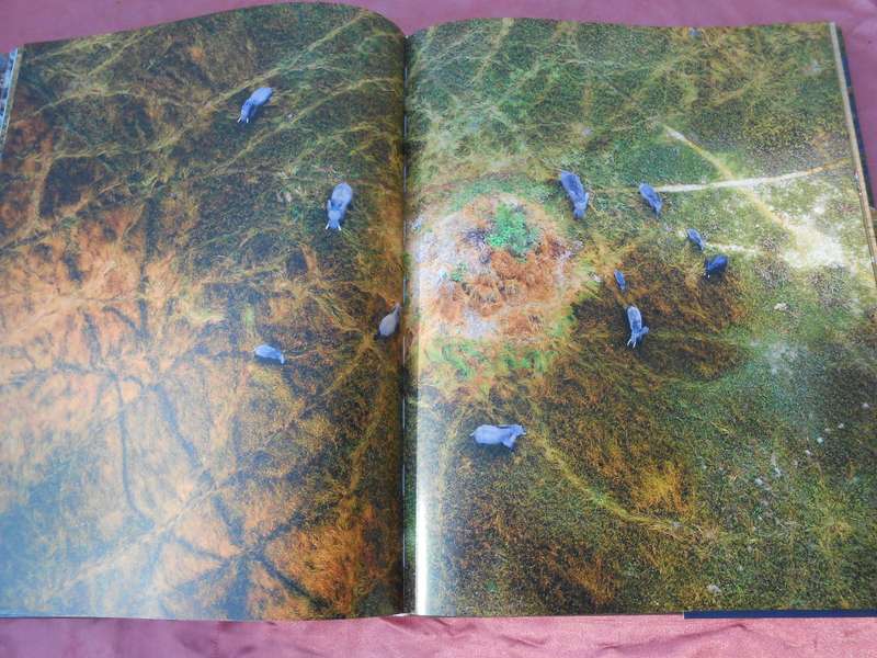 `Eyes over Africa`  A very heavy book.  Hard cover.