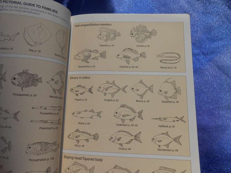 `Reef Fishes & Corals`  East Coast of Southern Africa. Soft cover.
