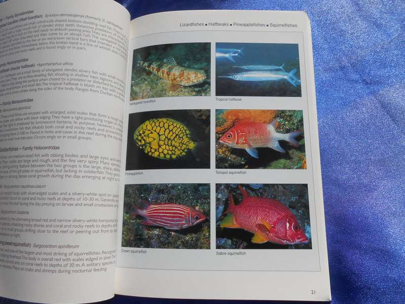 `Reef Fishes & Corals`  East Coast of Southern Africa. Soft cover.