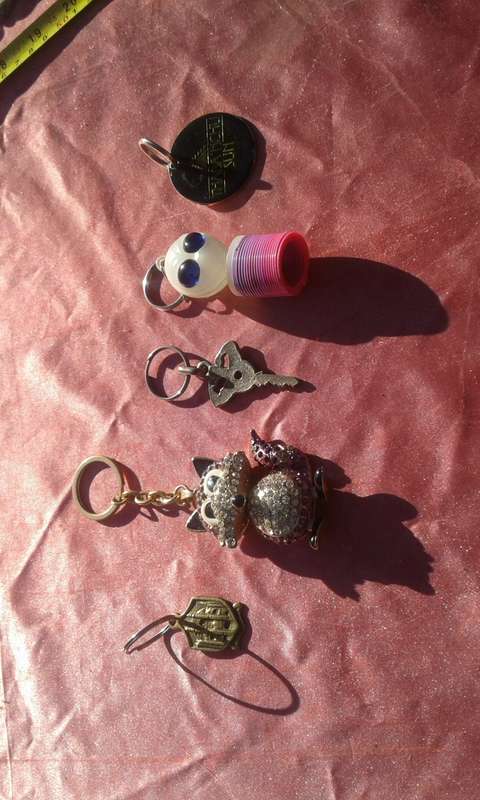 Joblot of keyrings.