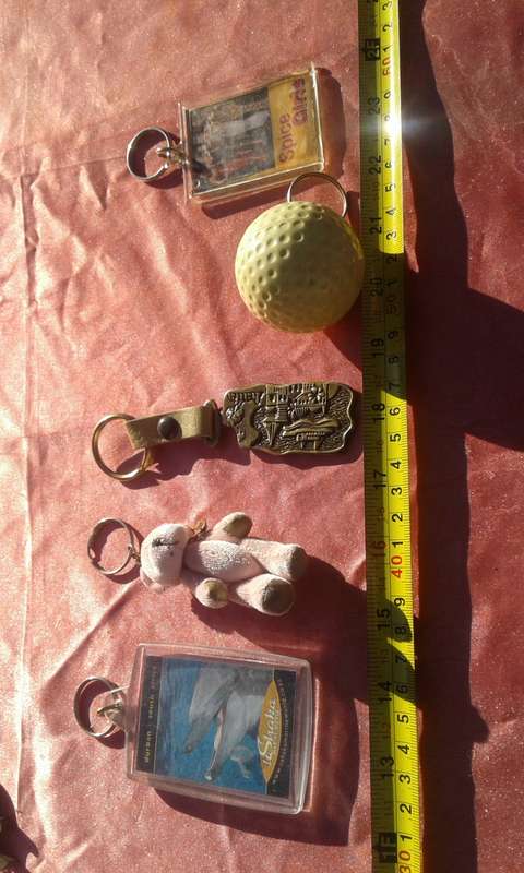 Joblot of keyrings.