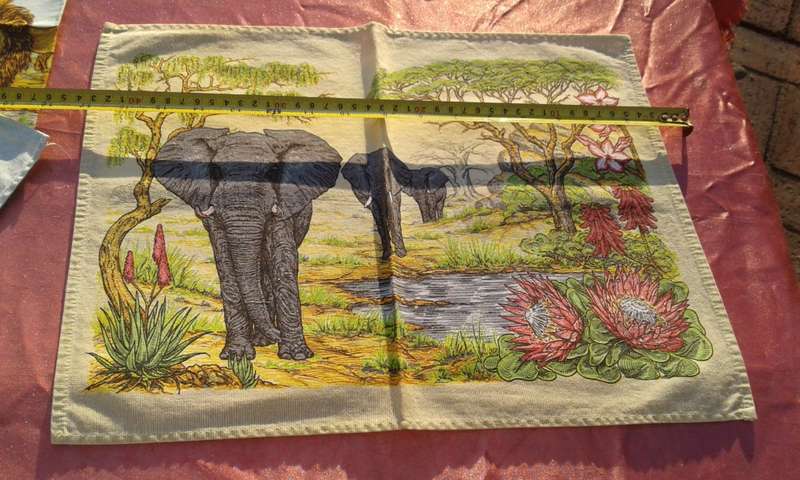 KNP job lot.  Kruger national park.  Condition: very good.