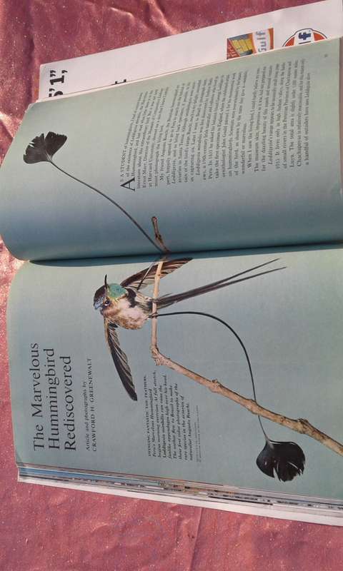 1966 `National Geographic`. Magazine.  Volume 130.  No. 1.