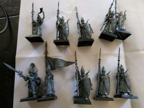High Elf army (Island of blood). warhammer aos