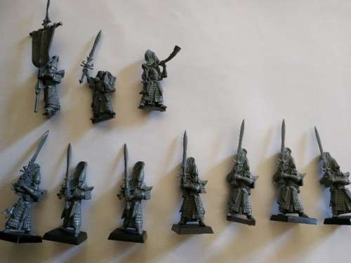 High Elf army (Island of blood). warhammer aos
