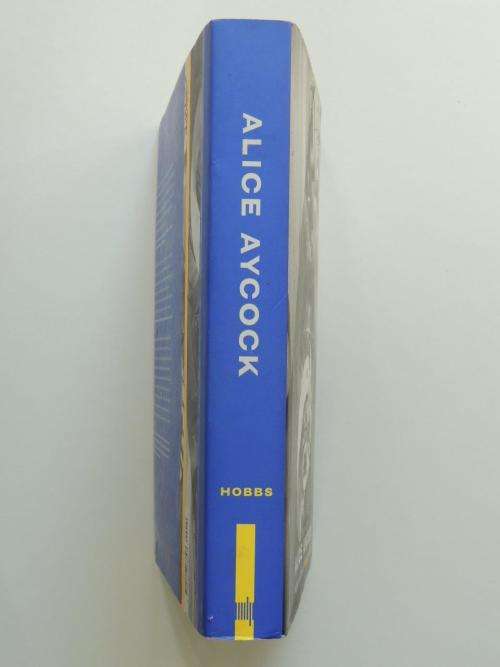 Alice Aycock - Sculpture and Projects - by Robert Hobbs