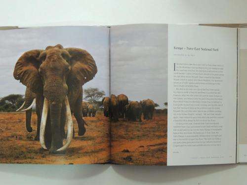 In Search of Africa s Great Tuskers - by Johan Marais, Ala Ainslie