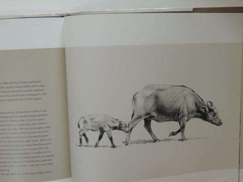 In Search of Africa s Great Tuskers - by Johan Marais, Ala Ainslie