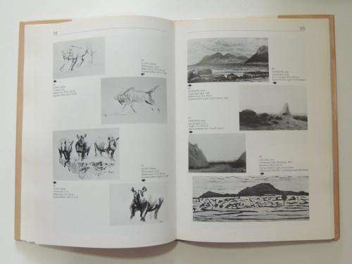 The Levinson Collection: Being the OlgaandJack Levinson Collection SWA/Namibian Art -  HandP Andreae