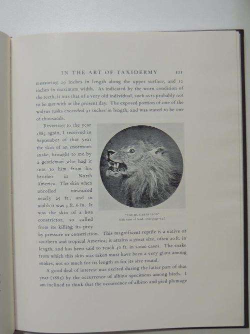 A Naturalist`s Life Study In the Art of Taxidermy - by Rowland Ward, F.S.Z.