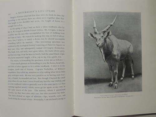 A Naturalist`s Life Study In the Art of Taxidermy - by Rowland Ward, F.S.Z.