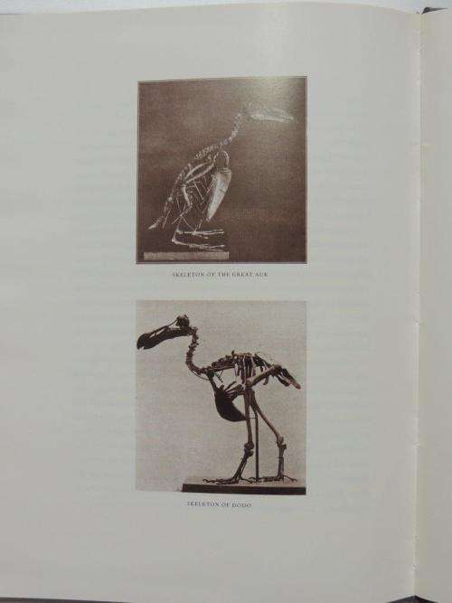 A Naturalist`s Life Study In the Art of Taxidermy - by Rowland Ward, F.S.Z.