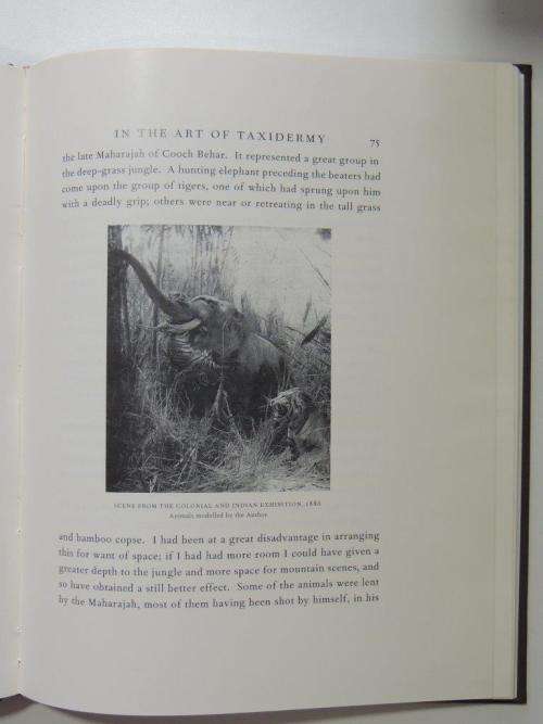 A Naturalist`s Life Study In the Art of Taxidermy - by Rowland Ward, F.S.Z.
