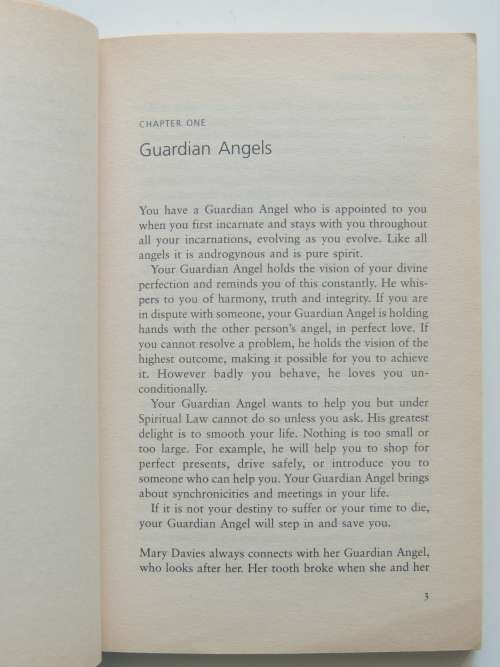 Angel Inspiration - by Diana Cooper