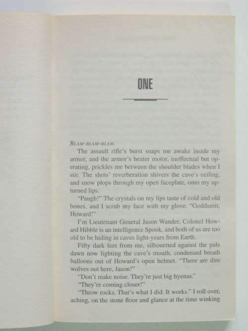 Orphan`s Triumph - Robert Buettner