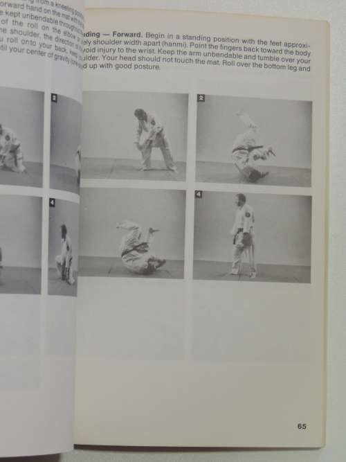 The Essence of Aikido - Bill Sosa and Bryan Robbins