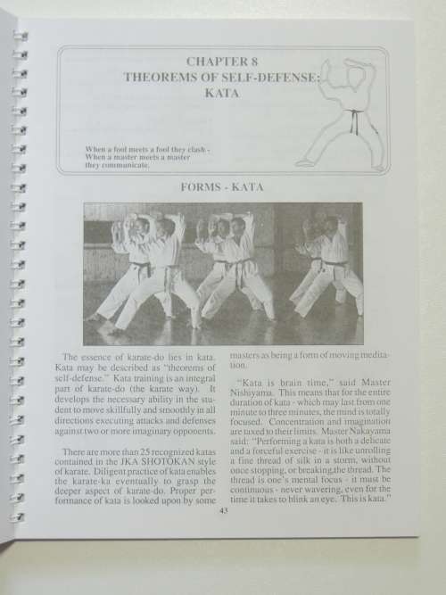 Enter Karate - Stan Schmidt