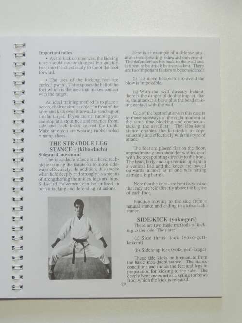 Enter Karate - Stan Schmidt
