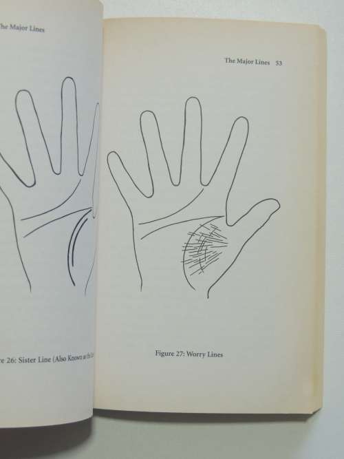 Palm Reading for Beginners Find Your Future in the Palm of Your Hand - Richard Webster