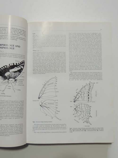 The Charaxinae Butterflies of Africa - Stephen Frank Henning