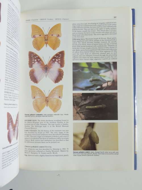 The Charaxinae Butterflies of Africa - Stephen Frank Henning