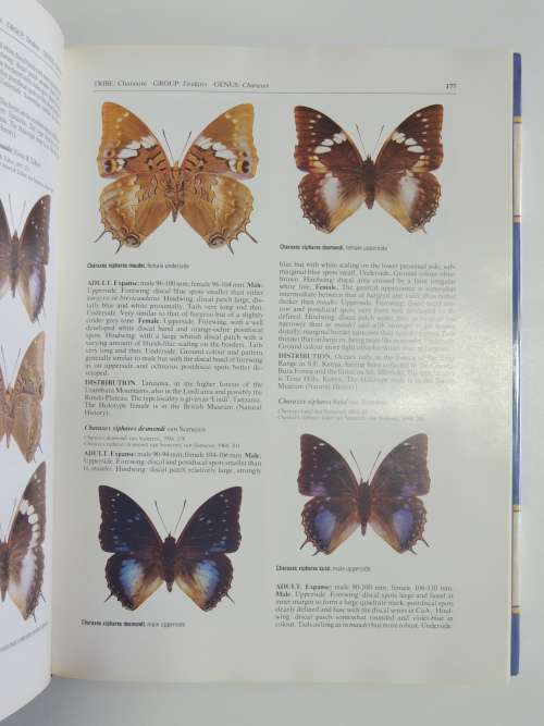 The Charaxinae Butterflies of Africa - Stephen Frank Henning