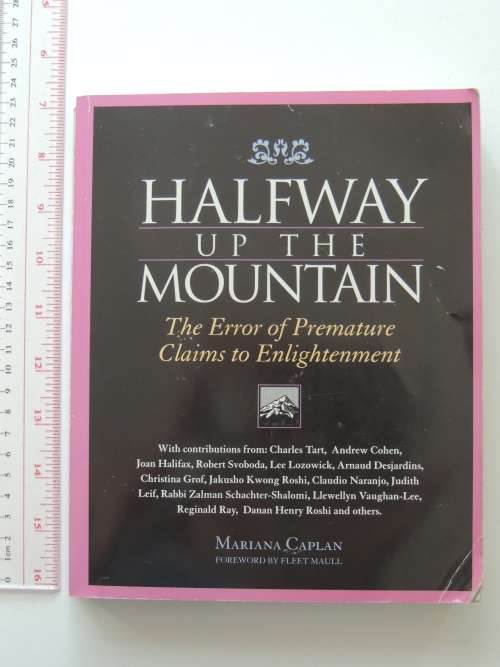 Halfway Up the Mountain - The Error of Premature Claims to Enlightenment - Mariana Caplan