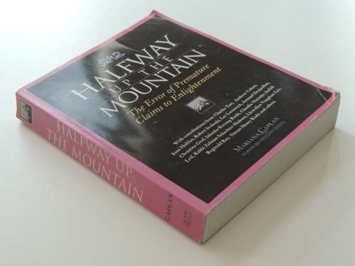 Halfway Up the Mountain - The Error of Premature Claims to Enlightenment - Mariana Caplan