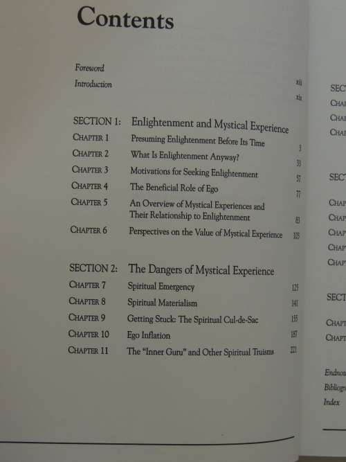 Halfway Up the Mountain - The Error of Premature Claims to Enlightenment - Mariana Caplan