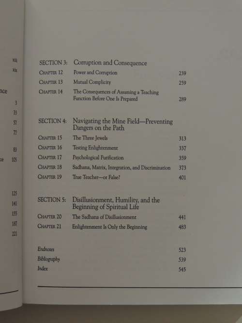 Halfway Up the Mountain - The Error of Premature Claims to Enlightenment - Mariana Caplan
