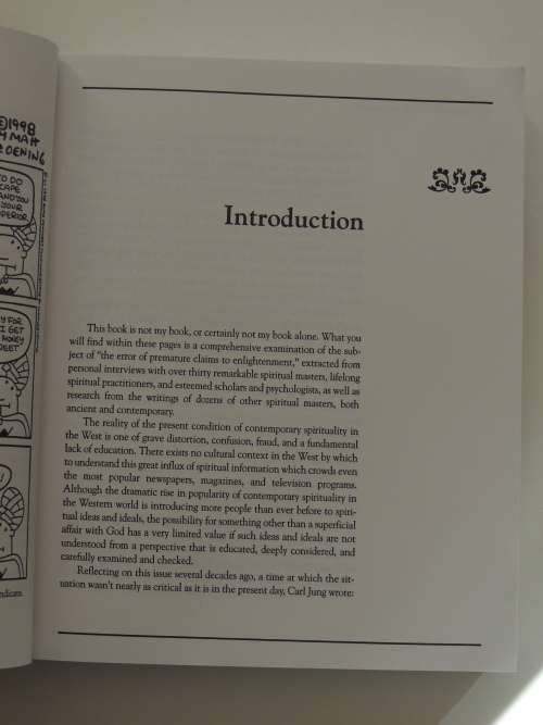 Halfway Up the Mountain - The Error of Premature Claims to Enlightenment - Mariana Caplan