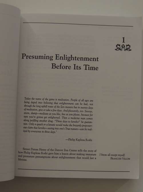 Halfway Up the Mountain - The Error of Premature Claims to Enlightenment - Mariana Caplan