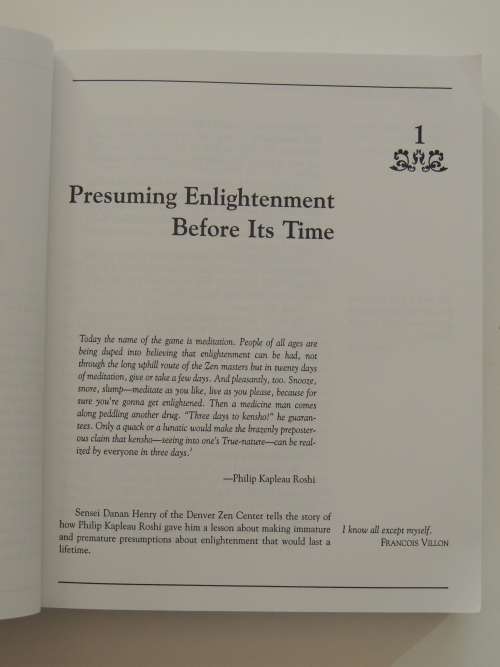 Halfway Up the Mountain - The Error of Premature Claims to Enlightenment - Mariana Caplan