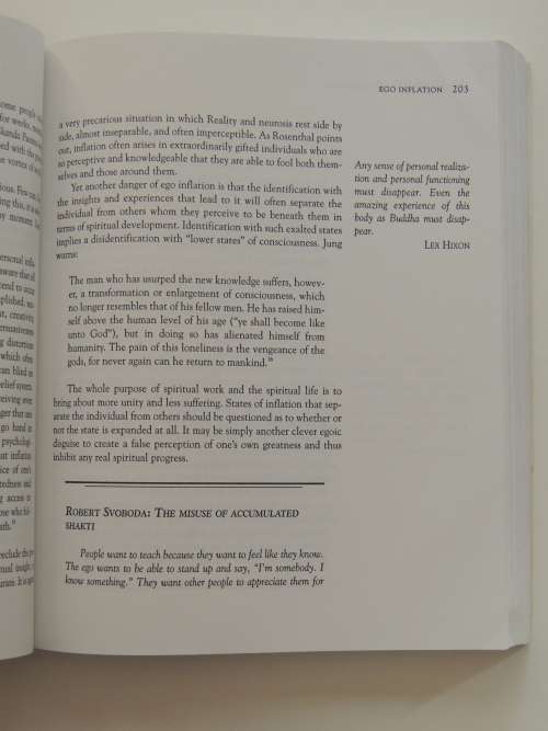 Halfway Up the Mountain - The Error of Premature Claims to Enlightenment - Mariana Caplan
