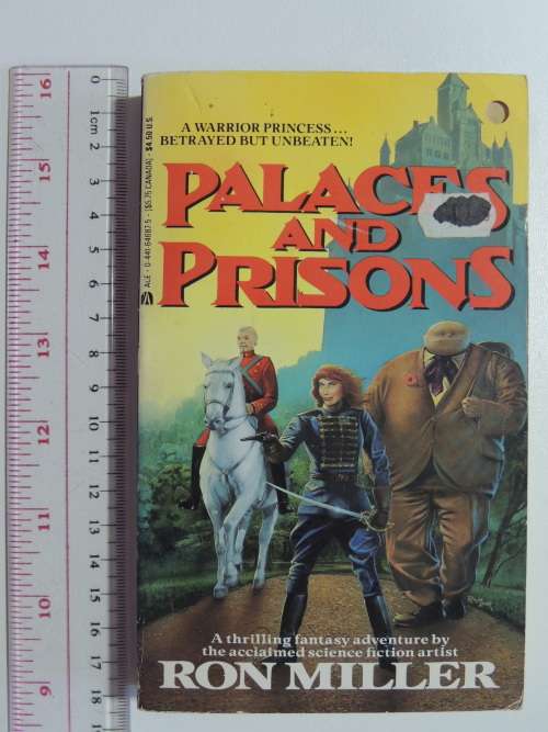 Palaces and Prisons - Ron Miller