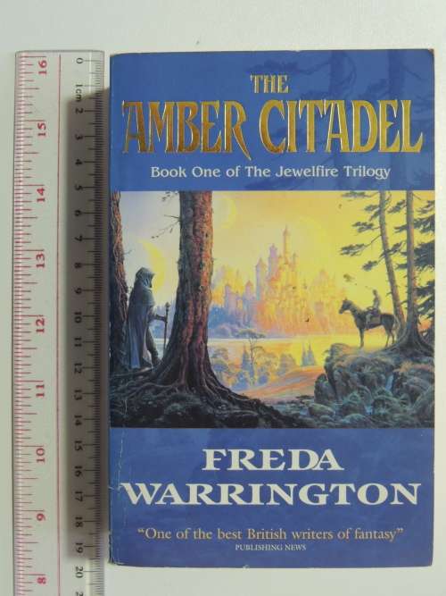 The Amber Citadel - Book 1 of the Jewelfire Trilogy - Freda Warrington